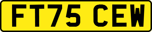 FT75CEW