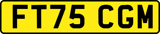 FT75CGM
