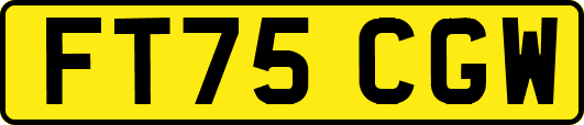FT75CGW