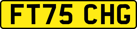 FT75CHG
