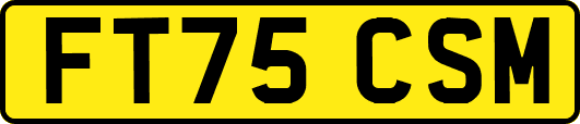 FT75CSM