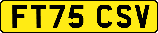 FT75CSV