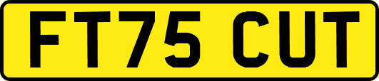 FT75CUT