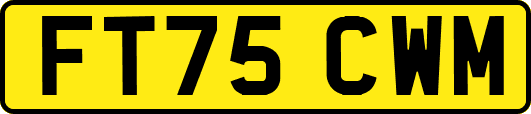 FT75CWM