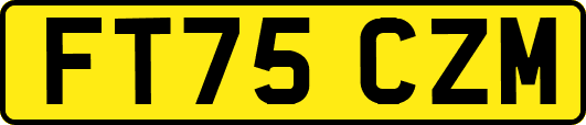 FT75CZM