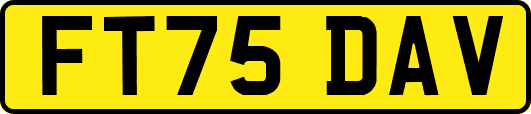 FT75DAV