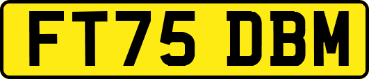 FT75DBM