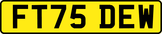 FT75DEW
