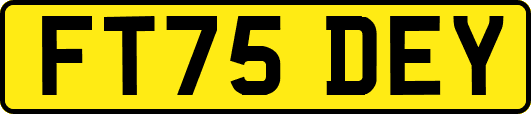 FT75DEY