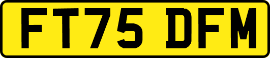 FT75DFM