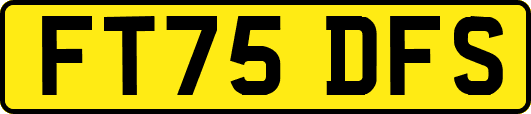 FT75DFS