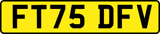 FT75DFV