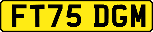 FT75DGM