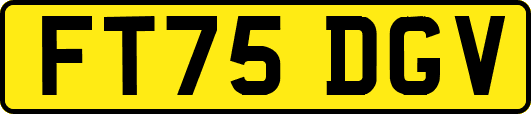 FT75DGV