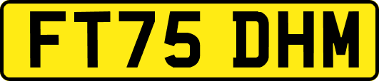 FT75DHM