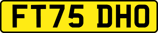 FT75DHO