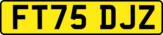 FT75DJZ