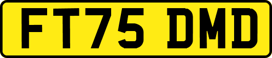 FT75DMD