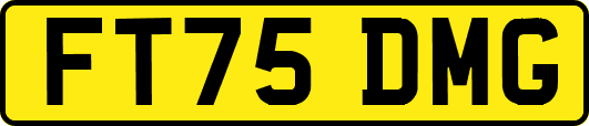 FT75DMG