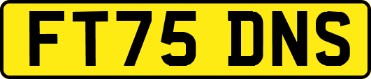 FT75DNS
