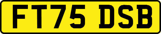 FT75DSB