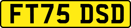 FT75DSD