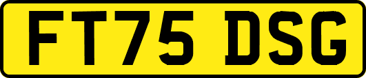 FT75DSG