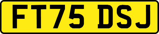 FT75DSJ