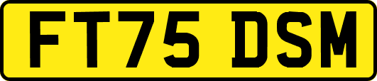 FT75DSM