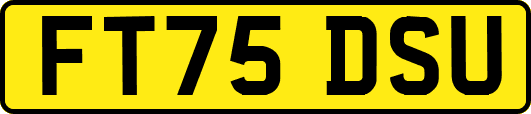 FT75DSU
