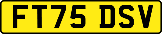 FT75DSV