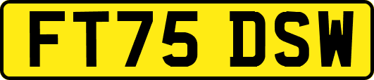 FT75DSW