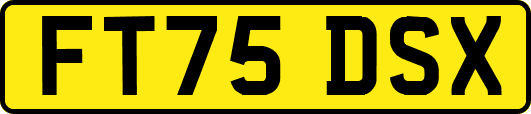 FT75DSX