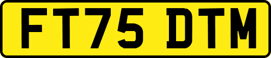 FT75DTM