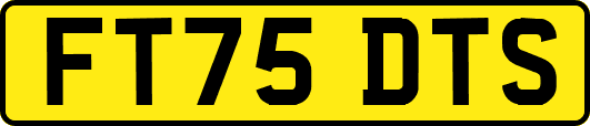 FT75DTS