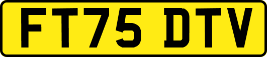 FT75DTV