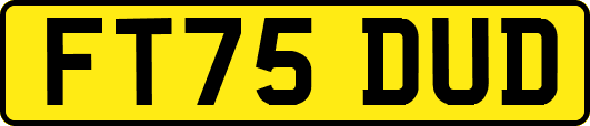 FT75DUD