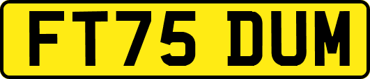 FT75DUM
