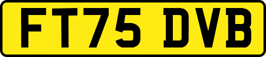 FT75DVB