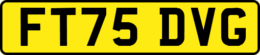 FT75DVG