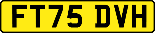 FT75DVH