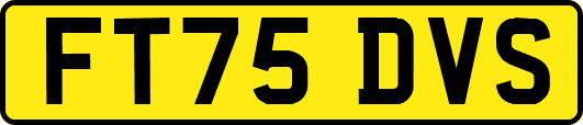 FT75DVS