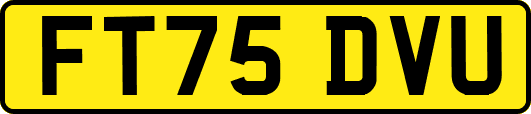 FT75DVU