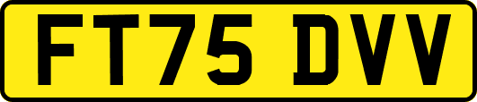 FT75DVV
