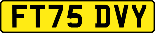 FT75DVY