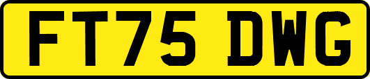 FT75DWG