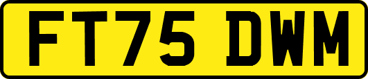 FT75DWM