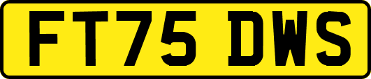 FT75DWS