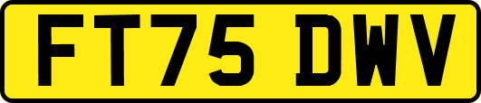 FT75DWV