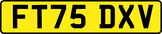 FT75DXV